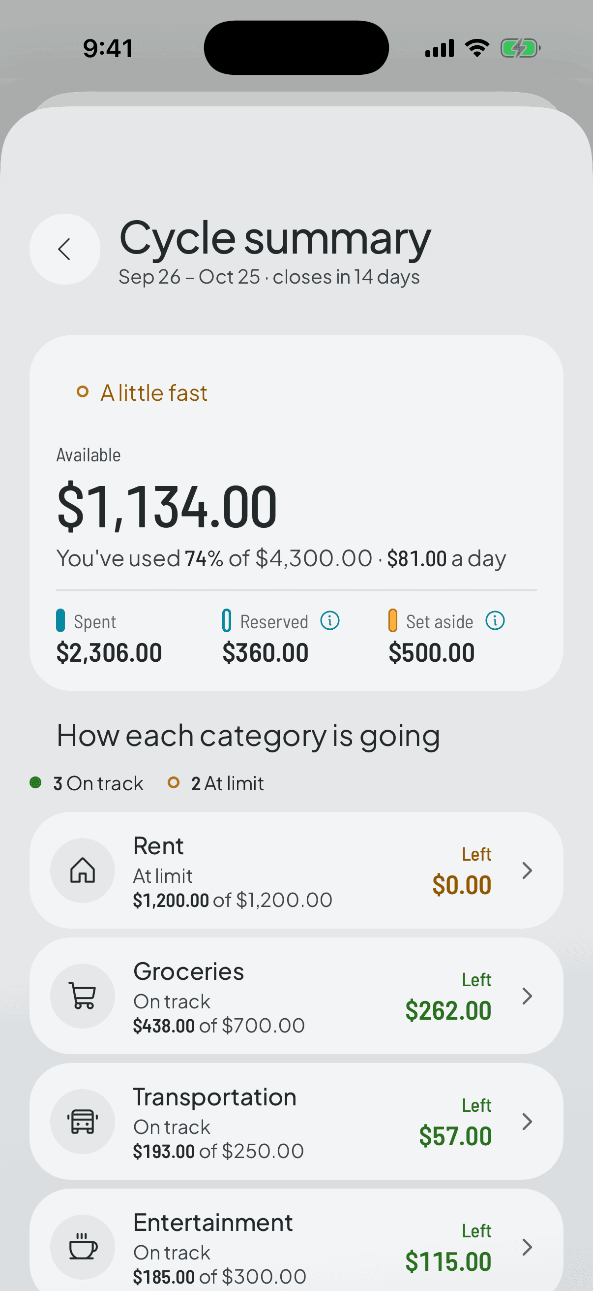 Cycle summary: how much you're saving so far, what's set aside, and how each category ended up.