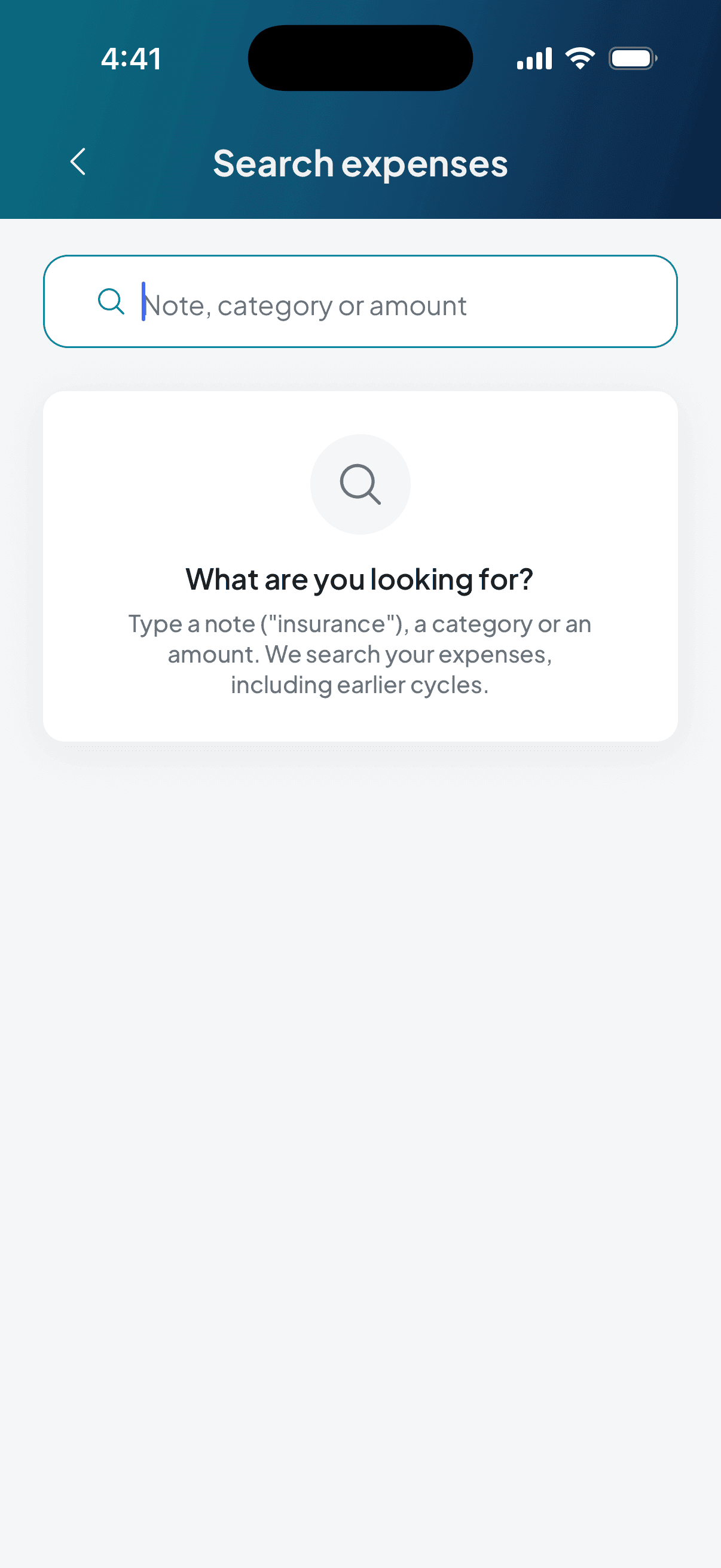 The expense search, still blank: it takes a note, a category or an amount, and it looks at earlier cycles too.